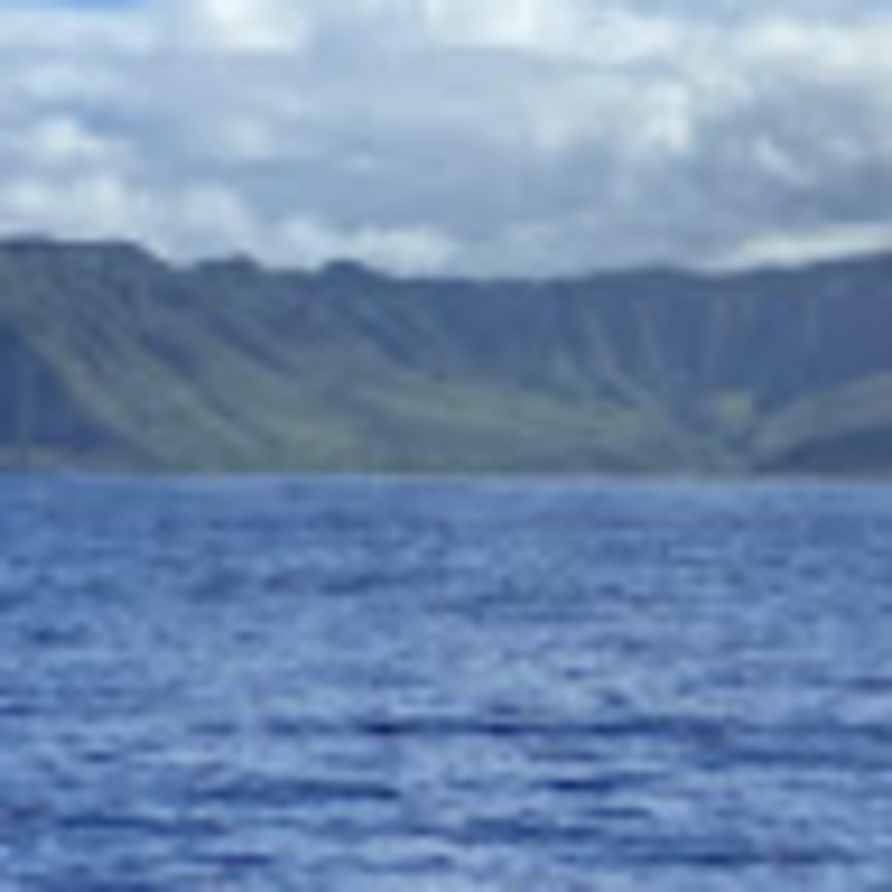 Meet your Posher, 1nanagurl